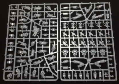 The terminator sprue. There's one of this and houses the five Cataphractii terminators.
